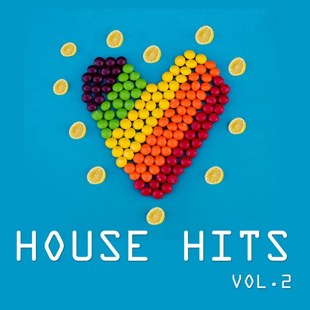 House Hits Vol. 2