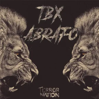 Abrafo(original mix) by TBX