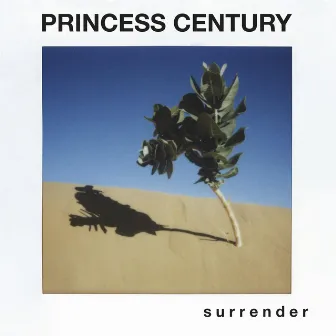 s u r r e n d e r by Princess Century