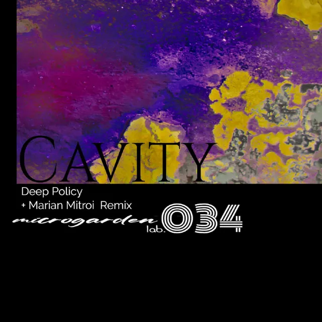 Cavity - Marian Mitroi Remix