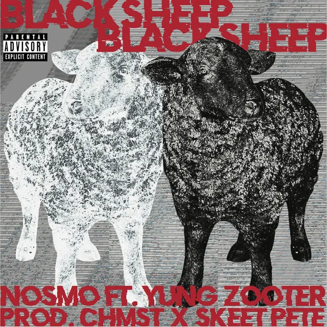 BLACK SHEEP