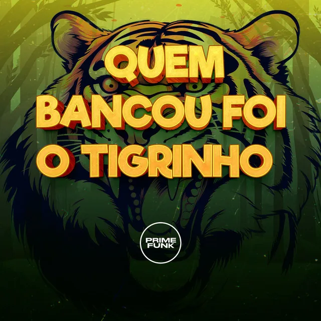 Quem Bancou Foi o Tigrinho