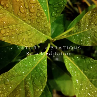 Rain Meditation by Nature Vibrations