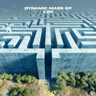 Dynamic Maze by AZABIM