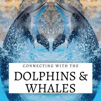 Connecting with the Dolphins & Whales by Annette Jones