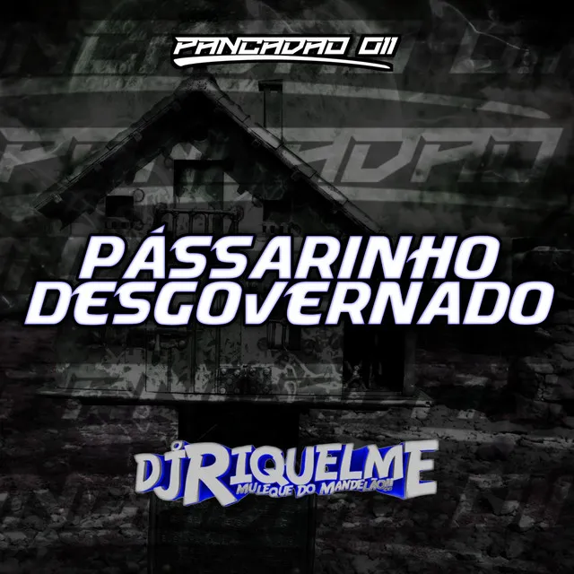 PÁSSARINHO DESGOVERNADO