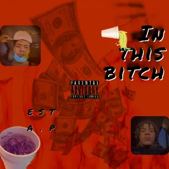 IN THIS BITCH by EST A.P