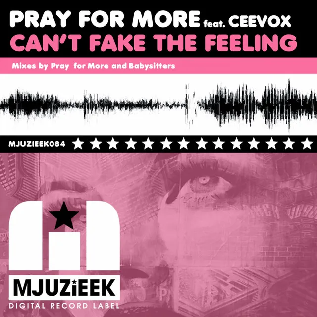 Can't Fake The Feeling - Babysitters Remix