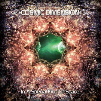 In A Special Kind Of Space by Cosmic Dimension