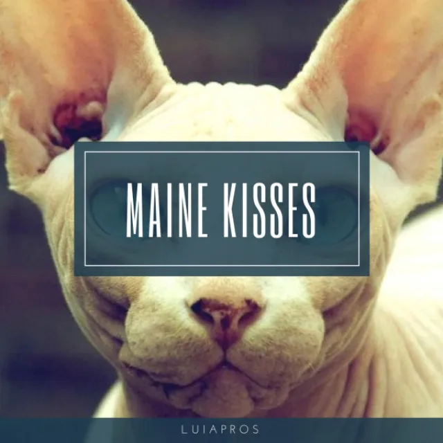 Maine Kisses - Original