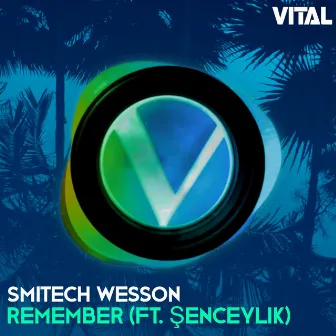 Remember (feat. Şenceylik) by Smitech Wesson