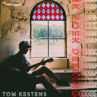 Ik Zoek Dekking by Tom Kestens