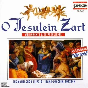 Christmas Choral Music - Handel, G.F. / Bach, J.S. / Taubert, W. / Praetorius, M. / Gruber, F.X. / Himmel, F.H. / Klug, J. by Hans-Joachim Rotzsch