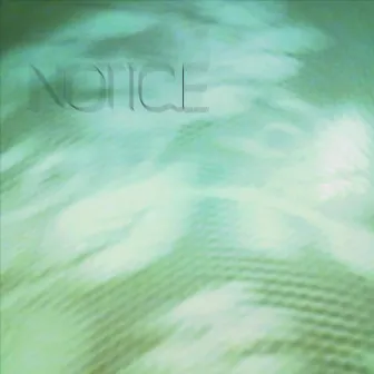 Notice (featuring Pandar) by Joseph Hallman