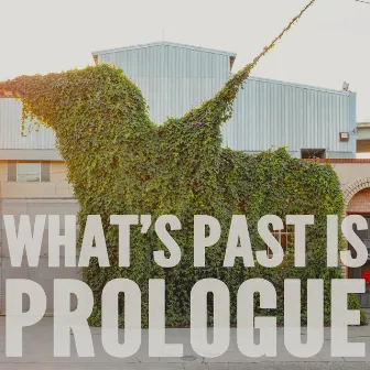 What's Past Is Prologue by Dark Rooms