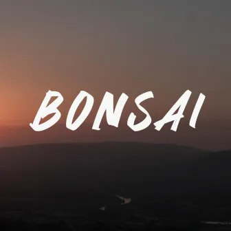 Bonsai by Corrosivo