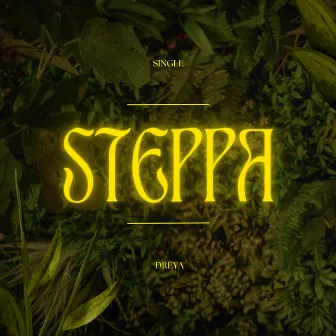 Steppa by DREYA