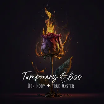 Temporary Bliss by Don Kody