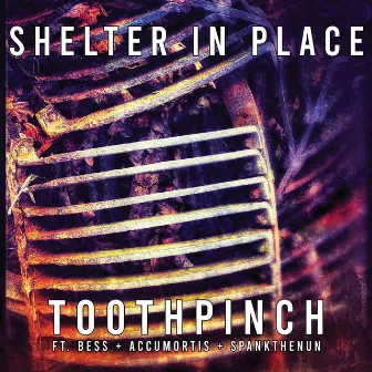 Shelter in Place by Toothpinch