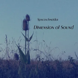 Dimension of Sound by Spaceschneider