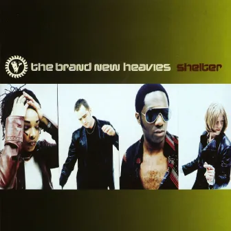 Shelter by The Brand New Heavies