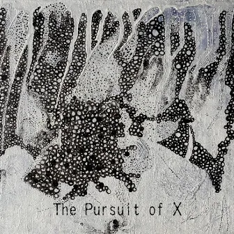 The Pursuit of X by DiipSilence