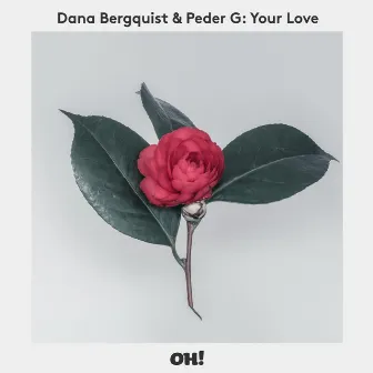 Your Love by Dana Bergquist