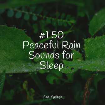 #1 50 Peaceful Rain Sounds for Sleep by The Relaxing Sounds of Water