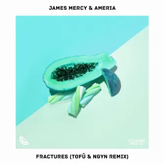 Fractures (tofû & Ngyn Remix) by James Mercy