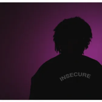 Insecure by Grizzly