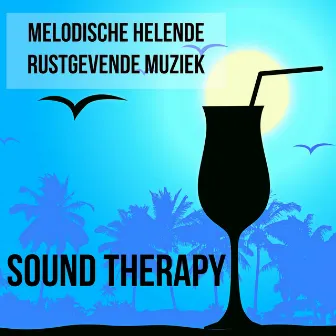 Sound Therapy - Melodische Helende Rustgevende Muziek met Natuurlijke Instrumentale Piano Bar Lounge Chill Geluiden by Unknown Artist