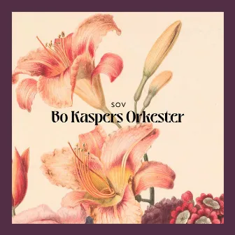 Sov by Bo Kaspers Orkester