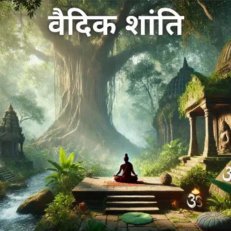 वैदिक शांति: प्राचीन हिंदू ध्यान by आत्मा की उड़ान