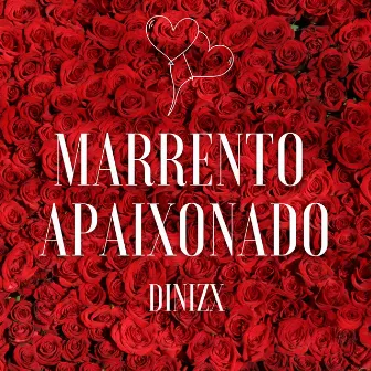 Marrento Apaixonado by DINIZX