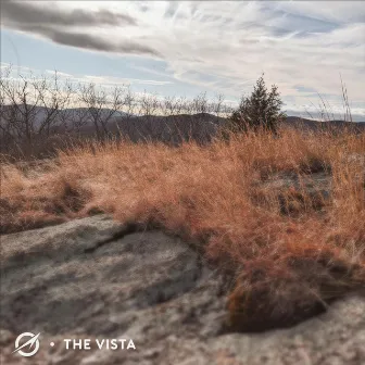 The Vista by Beam