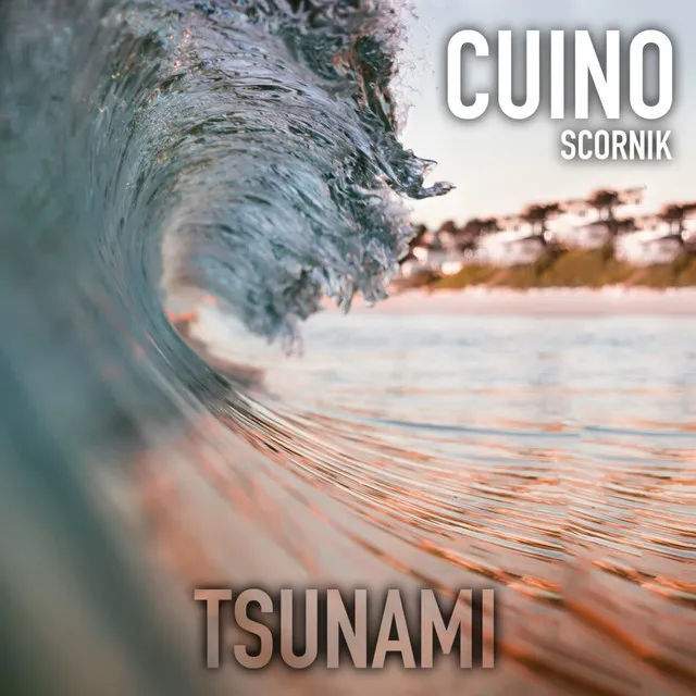 Tsunami