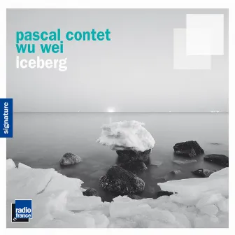 Contet & Wei: Iceberg by Wu Wei