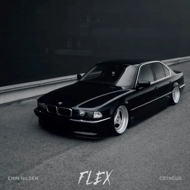 FLEX