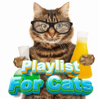 Calming Cat Sleep Beats For Sleeping by Playlist For Kittens