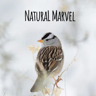 Natural Marvel by Gridlocks