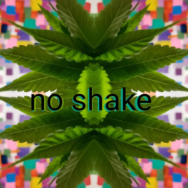 no shake