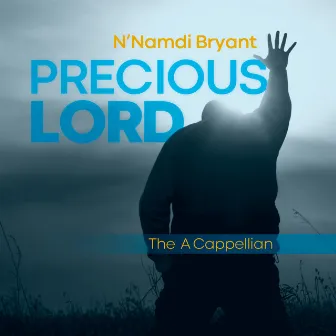 Precious Lord by N'namdi Bryant