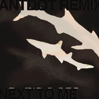 Next To Me (Antdot Remix) by JEWELS