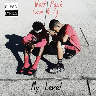 My Level by Wolf Pack