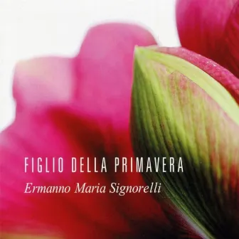 Figlio della primavera by Ermanno Maria Signorelli