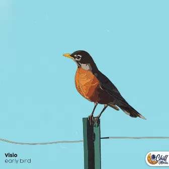 early bird by Visio