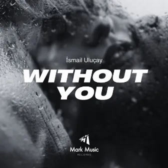 Without You by İsmail Uluçay