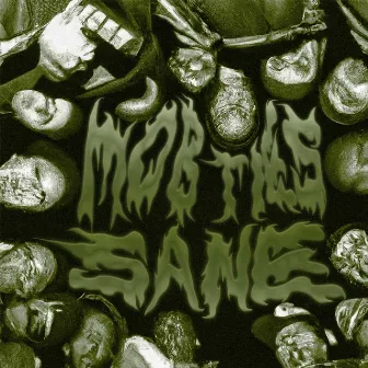 MOB TIES by SANE