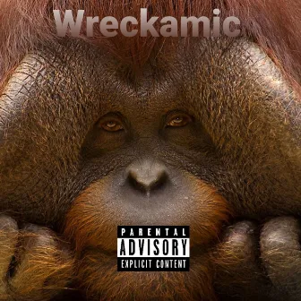 Orangutan by Wreckamic