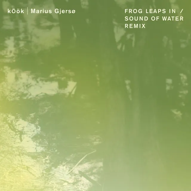 Frog Leaps in/Sound of water - Marius Gjersø Remix